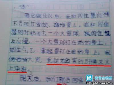 中国梦作文800字 两国的冬天作文100字