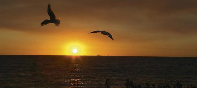 心里充满阳光 把心打开就能看到充满阳光和希望的世界