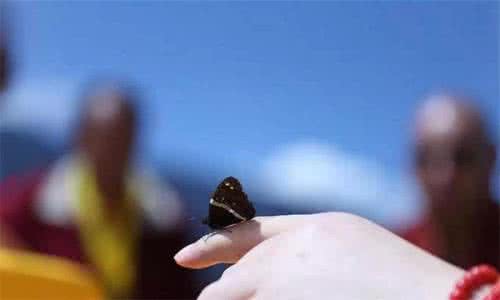 恩爱感动的老夫妻图片 如何做夫妻(感动了2亿人的文章)