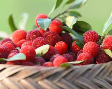 吃杨梅干上火吗 吃杨梅上火吗