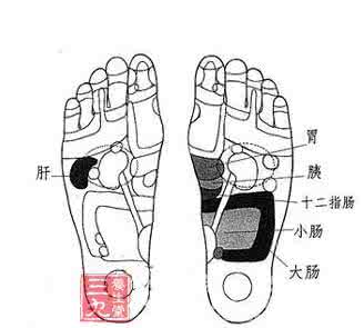 按摩身体各个部位图解 春季按摩身体1个部位最防病