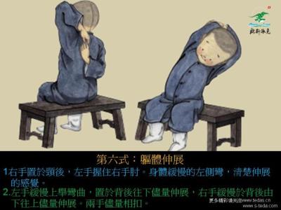 瑜伽鹤禅式动作要领 转载 八式动禅