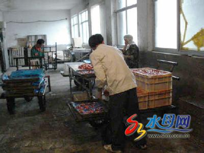假酒作坊徒手灌啤酒 黑作坊徒手串肉令人作呕 举报无人查处