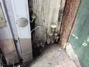 农村自建房设计图 农村自建房一到雨季就返潮，怎么解决？