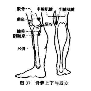 拍打脑袋 拍打-神奇七点 让脑袋-脱胎换骨