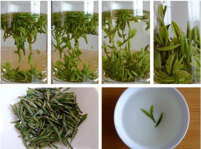 明前茶和雨前茶哪个好 不是所有「明前茶」都好，「明前」只为拜个老