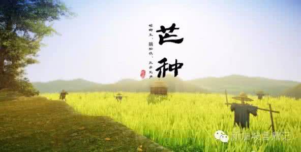 芒种时节 芒种时节适合做什么运动