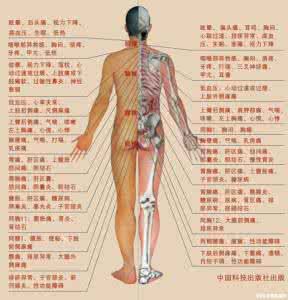 背部左侧腰部上方疼痛 背部左侧腰部上方疼痛 左腰部上方是什么器官？