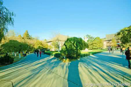 窗户正对马路风水 城市各种马路的风水讲究