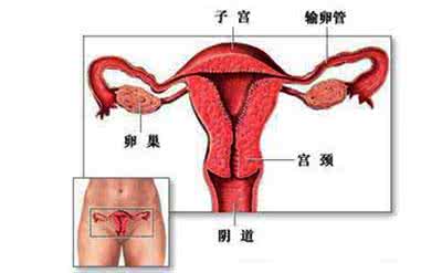 外阴上有溃疡是什么 外阴溃疡 什么因素导致的外阴溃疡