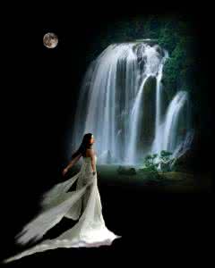 今夜为你醉 为你，独醉