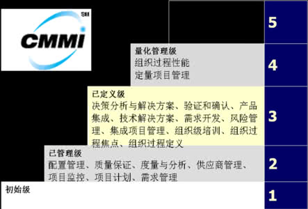 cmmi 软件测试 cmmi测试访谈问题 基于CMMI的项目级软件测试的研究_图文