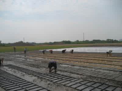 粮食生产功能区 粮食生产功能区 浅谈横蓬粮食生产功能区建设与发展