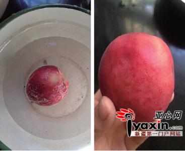 洗桃子的方法 桃子怎么洗？快速洗掉桃子绒毛的方法