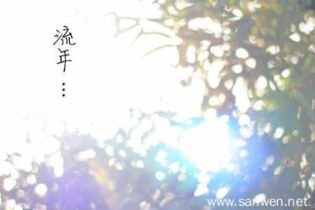 指尖流年 墨香岁月 诗意流年 墨香流年，弹落了谁的指尖