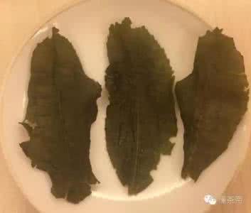 高山铁观音 案例分析:真正的高山铁观音应该长啥样?