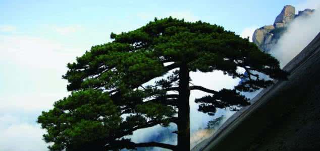 山谷的起点 感悟丨山谷的最低点正是山的起点