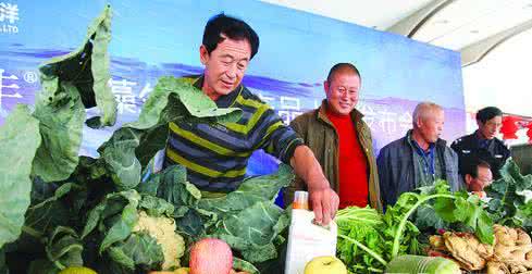 闹市楼顶建农场 山东福利来生物有机肥 老板楼顶建农场，员工天天吃上有机菜，这福利也是没谁了