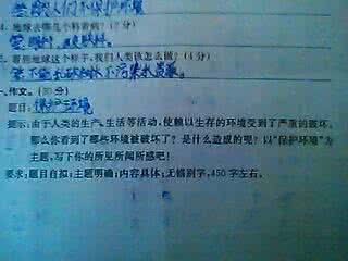 流离失所的意思 滤网,我的流离失所的张扬作文450字