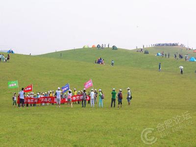 合肥小姐联系方式价格 合肥岸上草原联系方式 买家秀的正确打开方式！给你种出一整片草原！