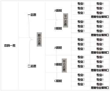 平行志愿 解说平行志愿