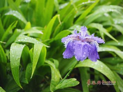 2014年8月21日青岛天气预报