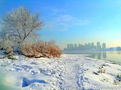 冬季温暖的城市 爱在这个冬季温暖你我