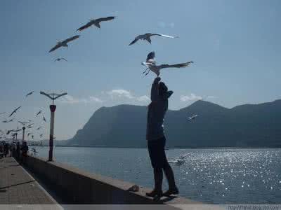 要么你去驾驭生命 要么你去驾驭生命，要么是生命驾驭你。你的心态决定谁是坐骑，谁是骑师。
