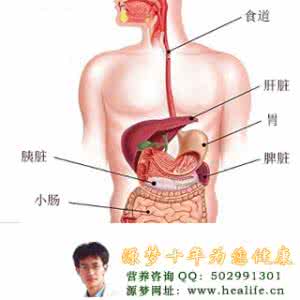 肝脏功能不好的表现 肝脏不好的表现 让你拥有完美肝脏