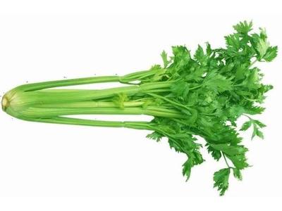 细香芹菜 【配图细解】芹菜保持一周鲜嫩的小秘诀