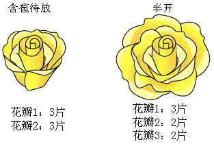 手工折纸兔子图解方法 手工折纸黄玫瑰的方法图解