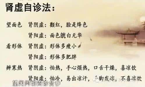 肾阳虚现代物质基础 男女吃一物从此不再肾虚