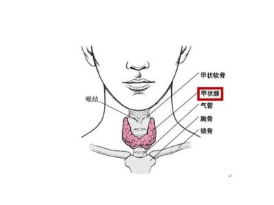 甲状腺功能减退症状 什么是甲状腺功能减退 甲减症状及治疗