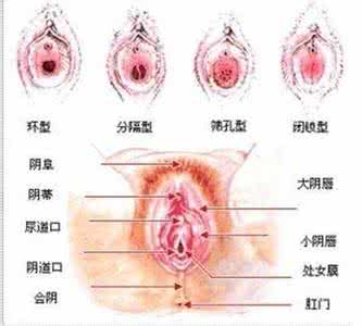 完好无损 英文 完好无损 英文 意外怀孕 处女膜却完好无损