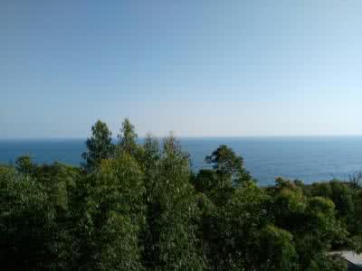 惠州海龟自然保护区 海龟自然保护区:海龟自然保护区-景区概述,海龟自然保护区-景区建设 海龟自然保护区