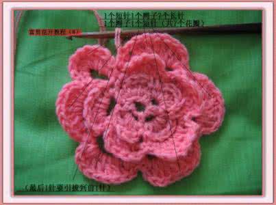 爱尔兰钩编伊甸园教程 爱尔兰花卉钩编教程----“牡丹花”