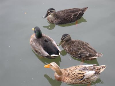 忆当时初相见什么意思 忆当时初相见