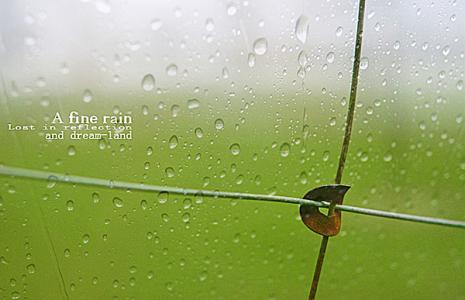 雨景拍摄技巧 【拍摄雨景的方法与技巧】