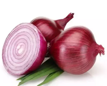 洋葱的营养价值 洋葱的营养价值 葱的哪部分更营养？