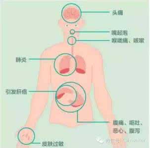 毒性最强的外毒素是 身体内的这种毒素毒性竟然这么强