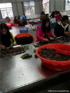 吃槟榔喉咙堵怎么缓解 吃槟榔喉咙堵怎么缓解 吃槟榔为什么会喉咙堵