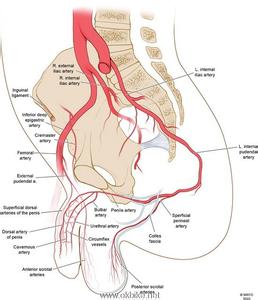 两次ct间隔多长时间好 两次ct间隔多长时间好 健康生活 性生活间隔多长最好