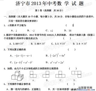 中考数学解题技巧 2009中考数学阅读理解题的解题技巧（下）作文1000字