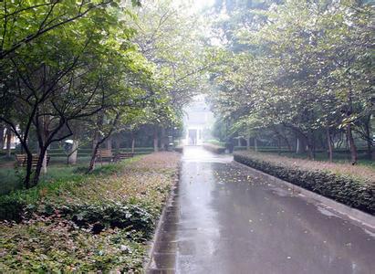 南京大学校园风景 南京大学 校园风景