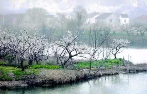 曹雪芹诗词 【名家诗词】清·曹雪芹的诗词