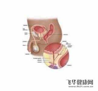 女性非淋菌性尿道炎 女性非淋性尿道炎是什么病