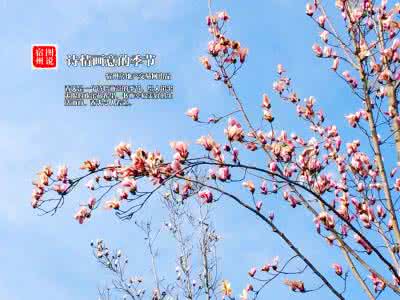 隆情诗意等果果的季节 诗意，在季节里流淌