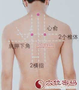 心俞穴 气 海 俞 穴