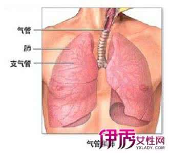 重症肺炎治疗指南2016 重症肺炎是怎么引起的 重症肺炎临床表现