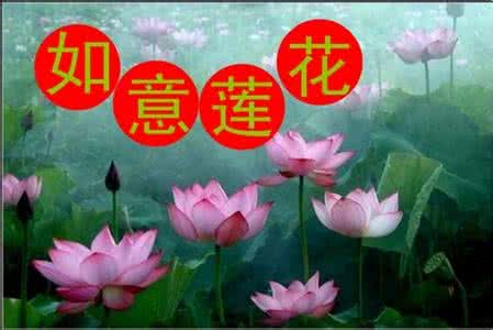 马铃薯汁治疗癌症 图文:多人验证:新鲜马铃薯生汁治疗癌症有特效